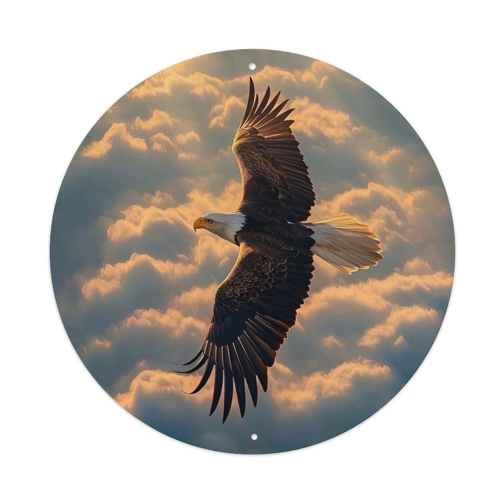 Bald Eagle Wildlife Photography Sunset Clouds Soaring Bird Vintage Metal Tin Sign Plaque Wall Decor for Cafe, Club Bar, Office, Garden Metal Poster 8x8Inch