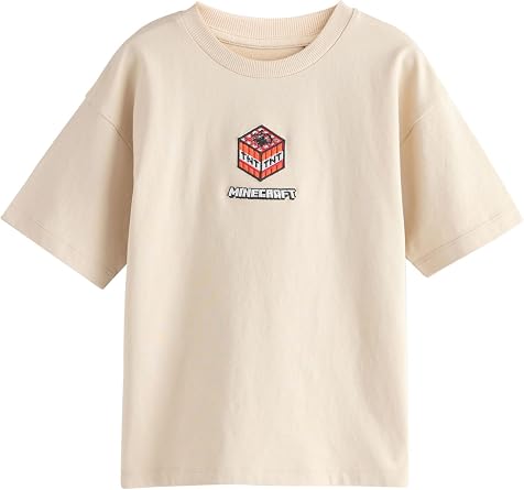 NEXT Boys Minecraft T-Shirts 2 Pack