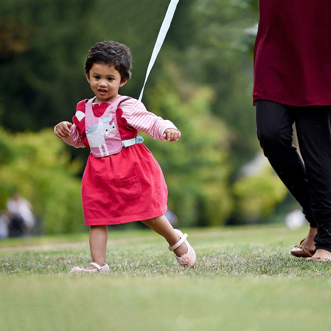 LittleLife Child & Toddler Safety Walking Harness & Reins