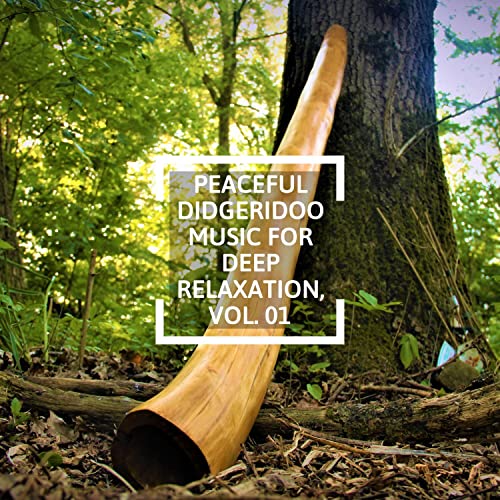 Amazon MusicでVARIOUS ARTISTSのPeaceful Didgeridoo Music for Deep Relaxation, Vol. 01を再生する