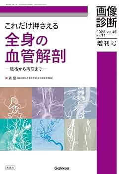 画像診断2025年増刊号Vol.45 No.11: これだけ押さえる全身の血管
