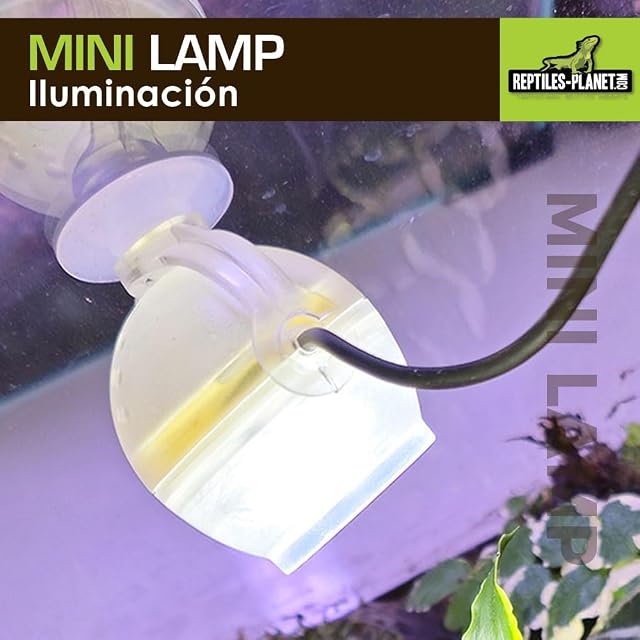 Foto 3 de 6 de Reptiles-Planet Mini Lámpara para Serpiente o Anfibio, Blau
