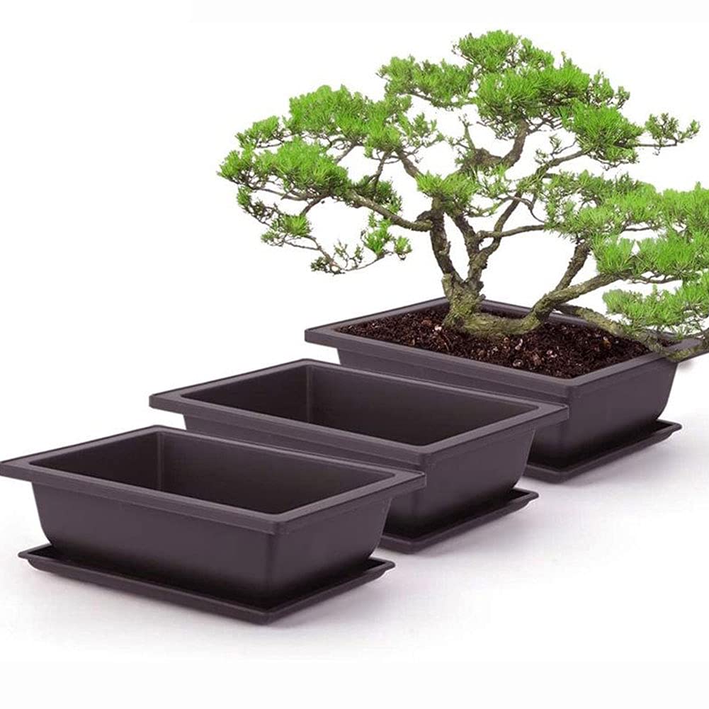 Gcroet Bonsai Training Pots and Trays,Rectangle Plant Pot, Plastic Bonsai Training Pots, Flower Succulent Pots with Trays Durable Planter Plants Growing Pots Container Succulent Planter 6PCS