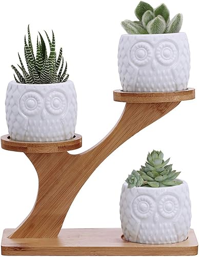 Suculentas, 3 macetas de búho, soporte con 3 niveles de bambú, blanco, moderno, decorativo de cerámica, maceta de flores, maceta con drenaje para el
