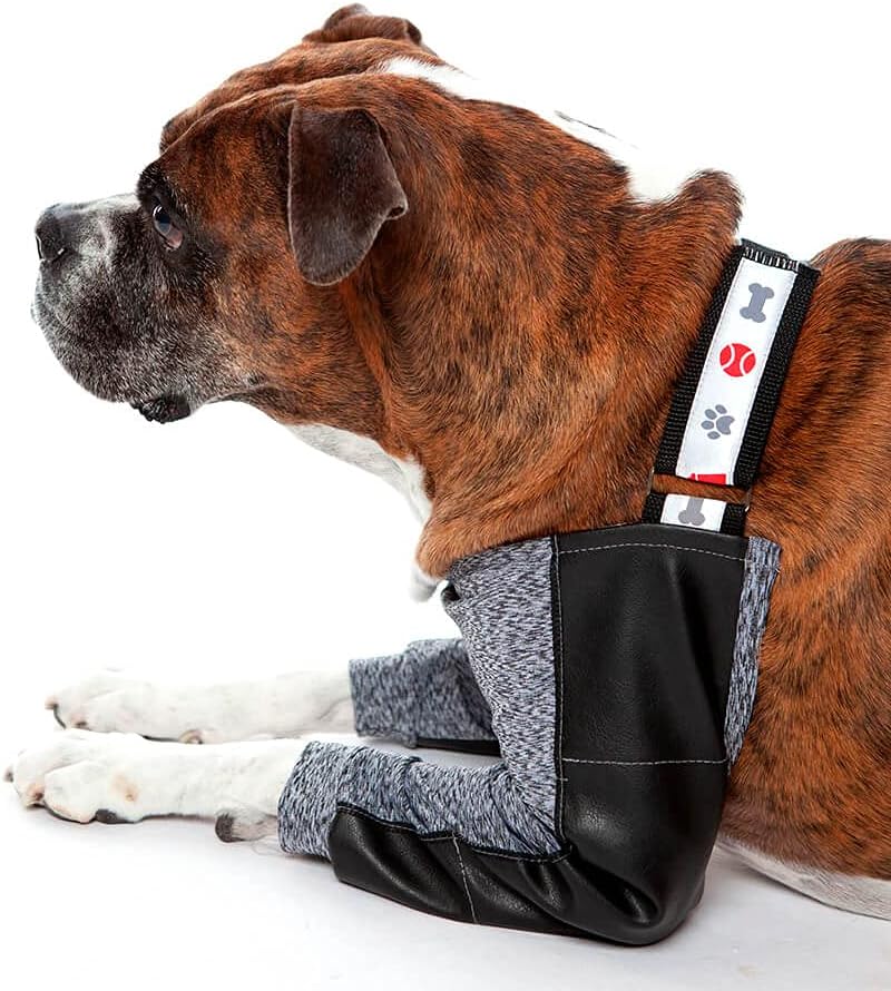 Hydro Protector Dry Comfort T7 1UD PETMED