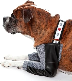 Roupa Protetora Pet Med de Higroma Duo Dry - Tamanho 6