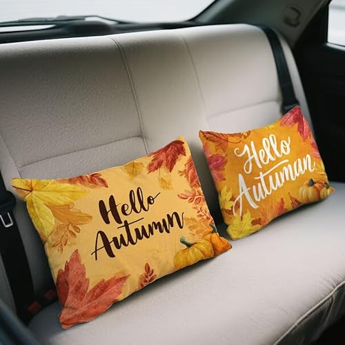 NbVJo[ 50x80 cm 2 Zbg ` xxbg Jo[ H \t@[ NbV XgbN ʃfUC t  H ~   zc BWbp[ I[V[Y s[P[X \t@  蕨 w-744