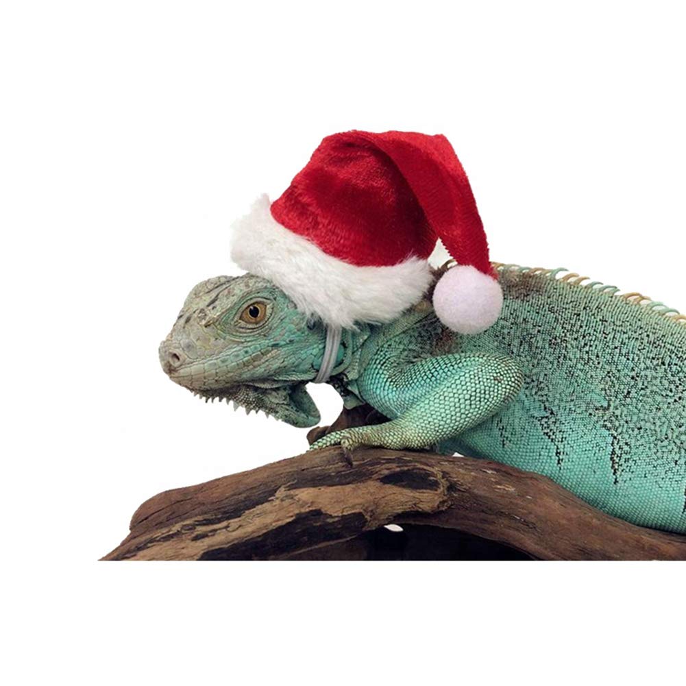 HAICHEN TECLizard Clothes for Bearded Dragons, Christmas Hat and Scarf Set with Elastic Chin Strap Reptile Apparel Handmade Flannel Skin Protection Photo Party for Lizard Bearded Dragon
