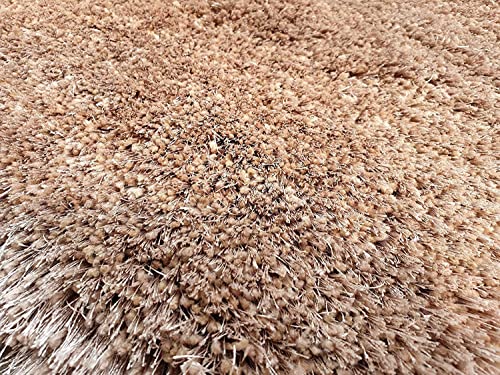 Image of AROMICK Modern Polyester Anti Slip Shaggy Fluffy Rug and Carpet for Living Room, Bedroom & Dining Room (4 x 6 Feet, Beige)