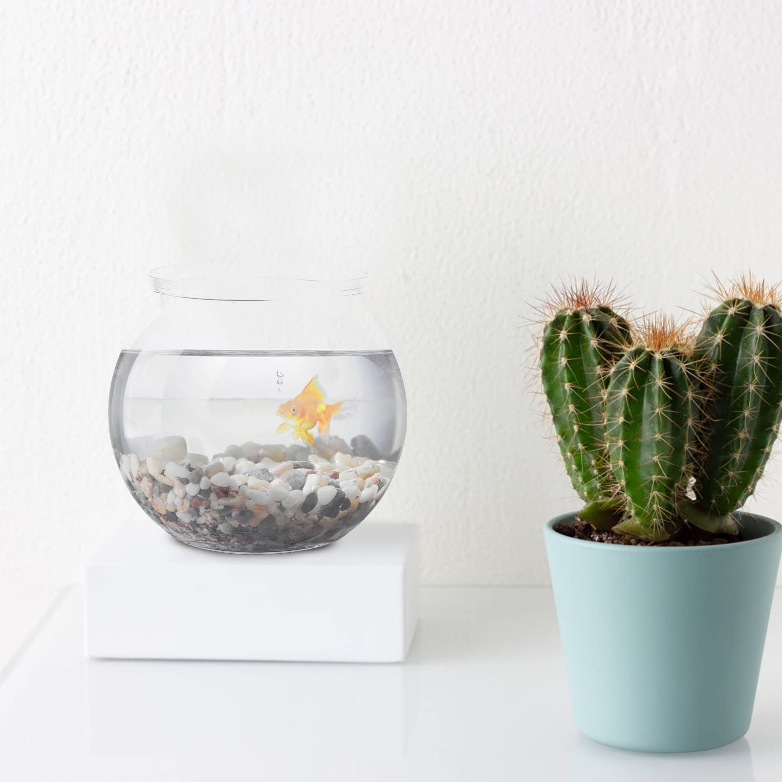 Réservoir à poissons, bocal à poissons, Aquarium 2 pièces Réservoirs Petits Aquariums Aquariums Aquariums Transparents Aquariums Accessoires d'alimentation for poissons for la décoration Poissons de c
