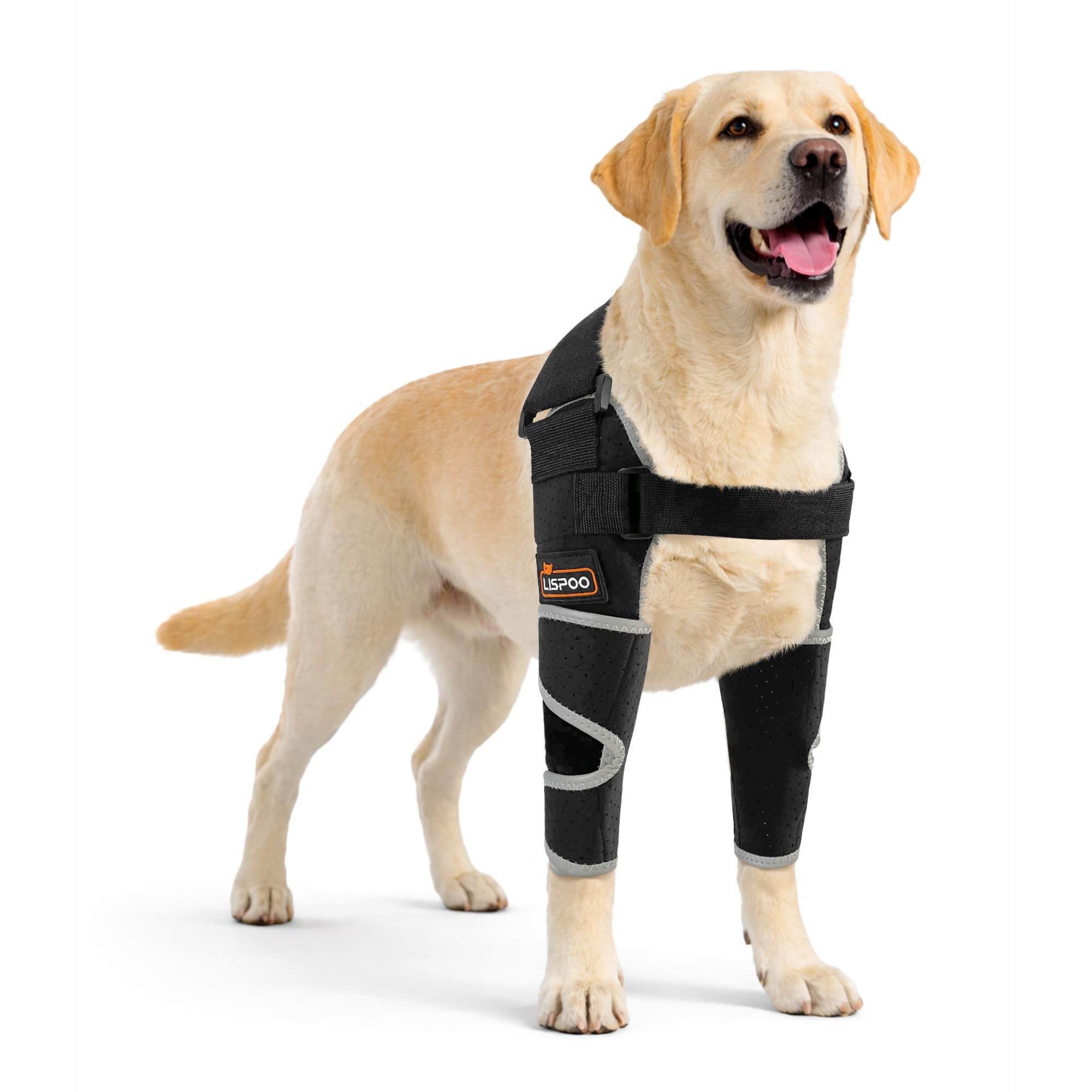 LISPOO Dog Elbow Brace for Shoulder & Front Leg-Both Leg,S Size