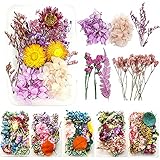 Senteen Natürliche Getrocknete Blumen, DIY Natürliche Getrocknet Blumen Set Gemischte Getrocknete Blätter Trockenblumen Klein für Kunst Basteln DIY Scrapbooking Handwerk Karten Machen (6 Boxen)