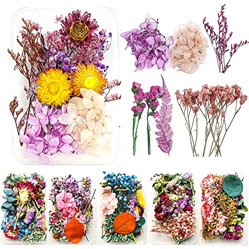 Senteen Natürliche Getrocknete Blumen, DIY Natürliche Getrocknet Blumen Set Gemischte Getrocknete Blätter Trockenblumen Klein für Kunst Basteln DIY Scrapbooking Handwerk Karten Machen (6 Boxen) Cover