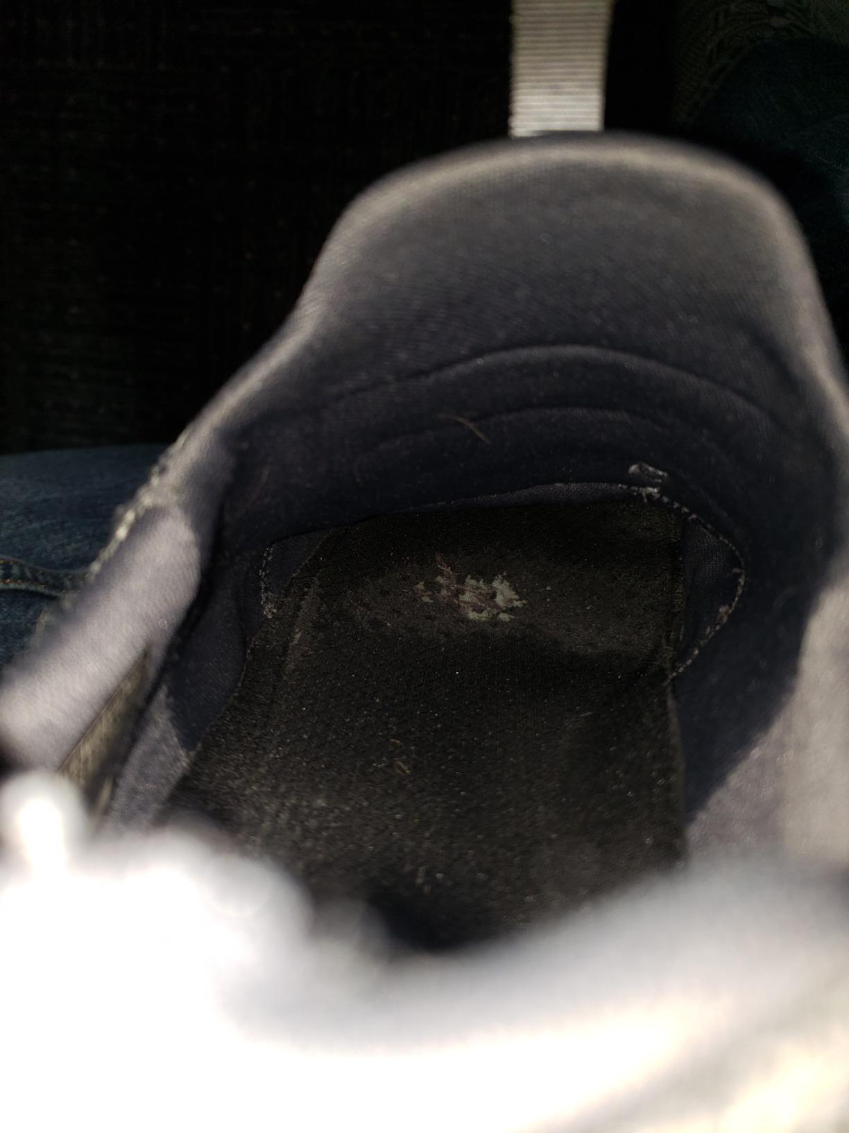 elite flex westerfeld