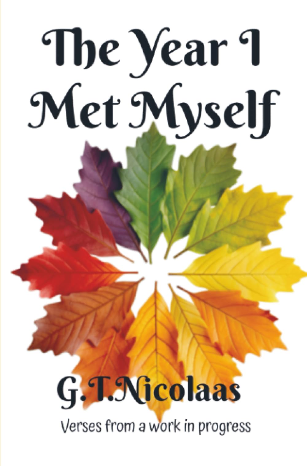 The Year I Met Myself: Verses from a work in progress