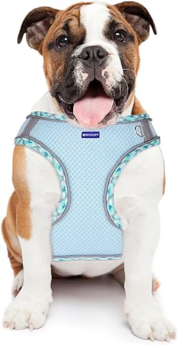 Miniatura 7 de BTDCFY Juego de arnés y correa para perro de malla transpirable, reflectante, a prueba de escape, arnés para perro, chaleco sin estrangulamiento,