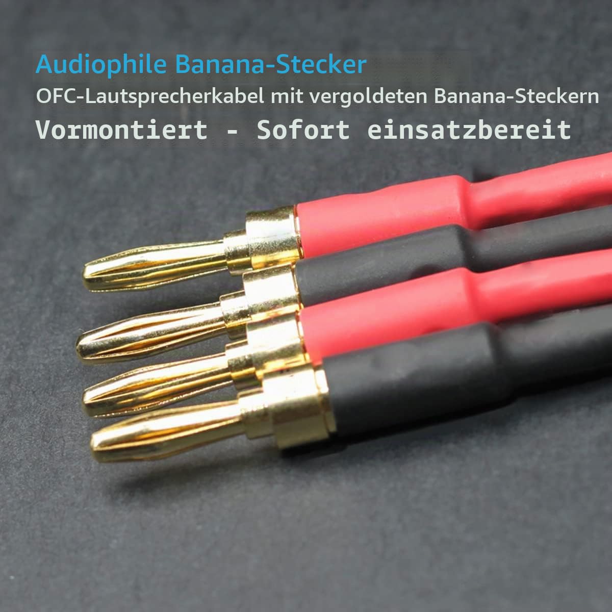 13 AWG Bananen-Lautsprecherkabel, 2 Pack 3m HiFi-Lautsprecherkabel mit vergoldeten Bananensteckern, Audiophile Stecker zu Stecker Audio Kabel für Audiophile (3m / 9.8FT)