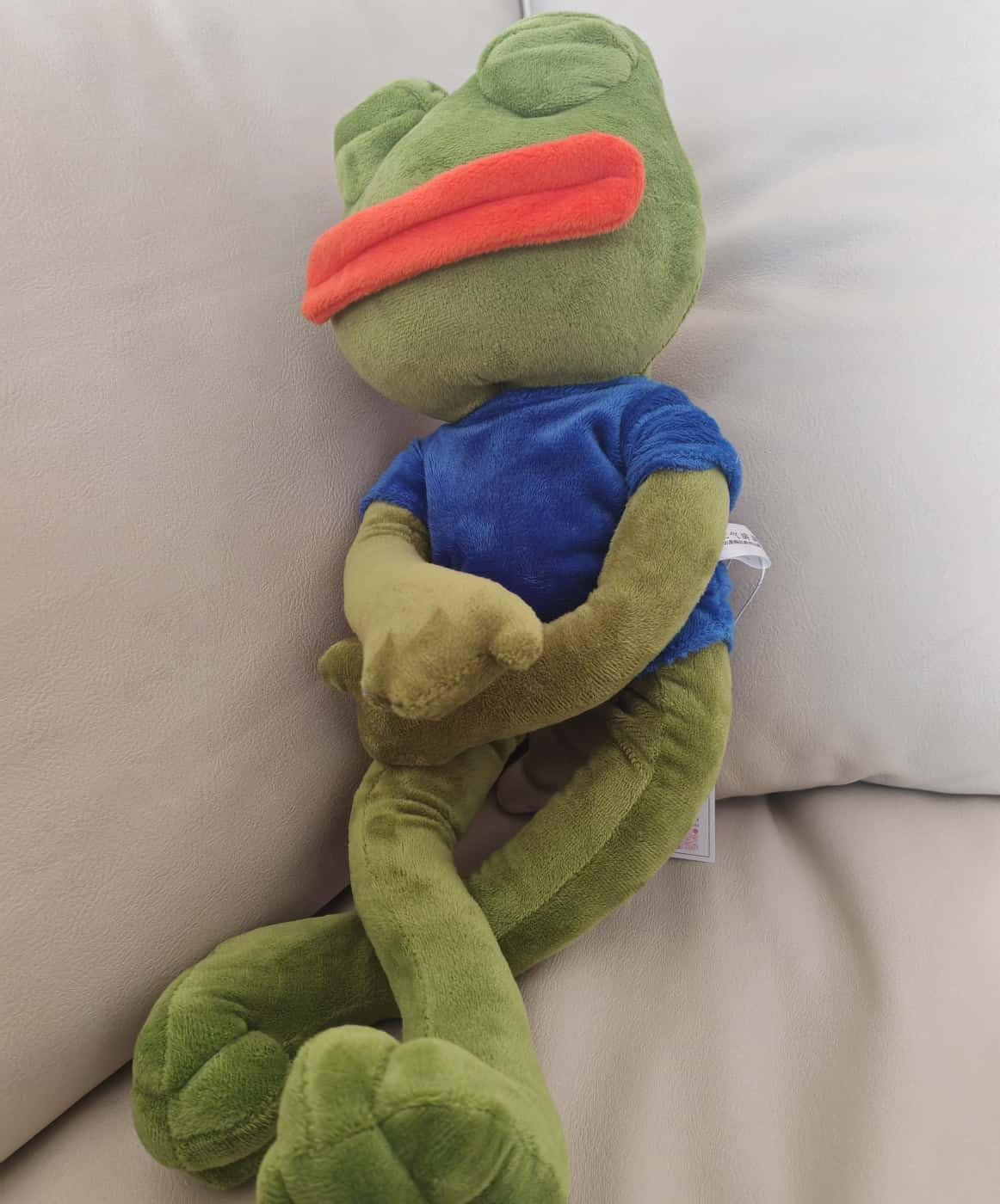 Frog Plush Toy 17.7 Inch, Magic Emotive Stuffed Animal with Changeable Expressions, Crystal Ultra Soft Plushie, Interactive Cuddly Toy Gift for Kids Children's Day Birthday