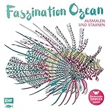 EDITION MICHAEL FISCHER