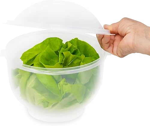 Home-X Lechuga Keeper  Conservador de lechuga sin BPA para refrigerador para mantener ensaladas y verduras frescas  7 x 8 pulgadas lechuga más
