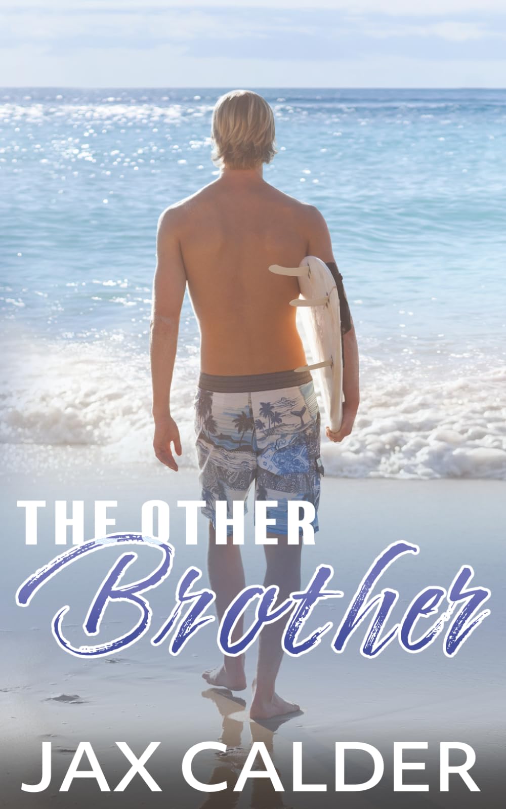 The Other Brother: A YA/New Adult standalone M/M romance