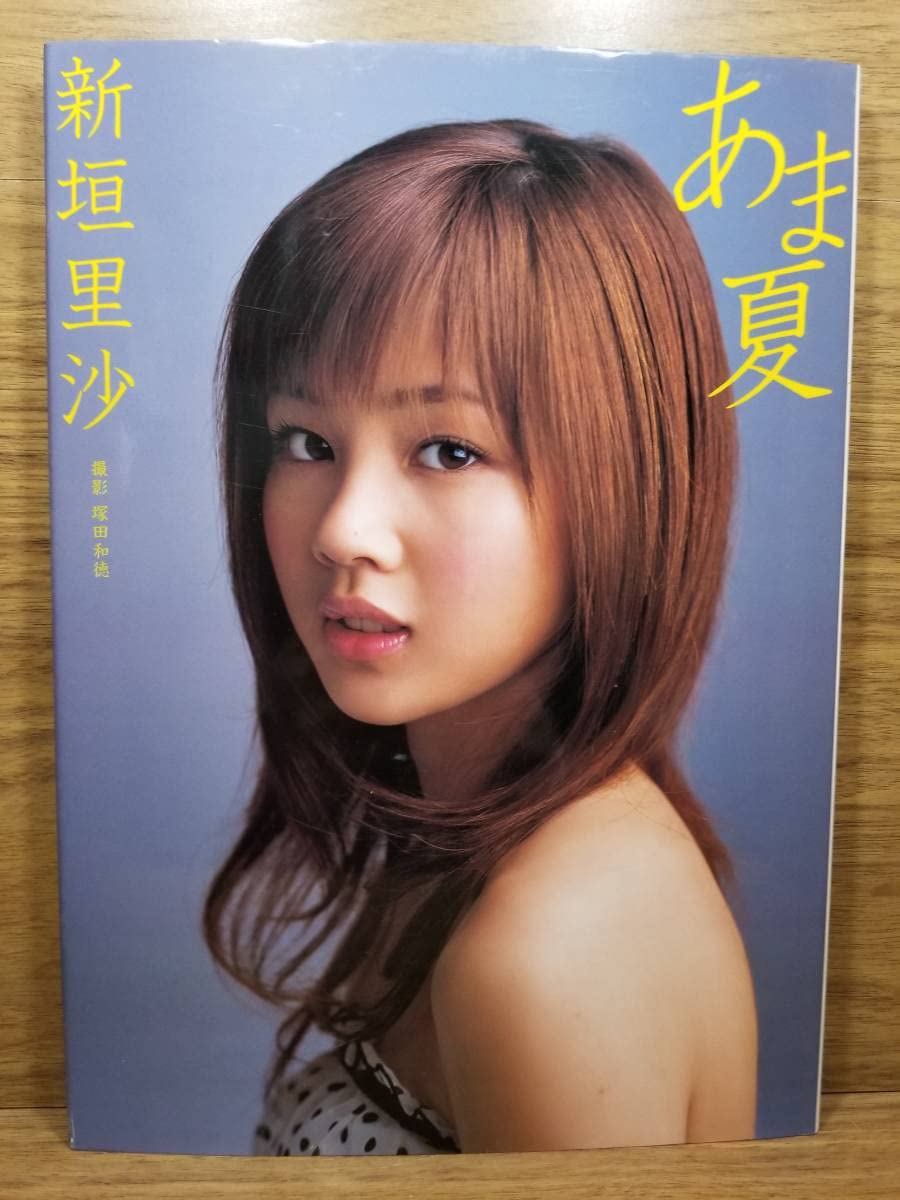 新垣里沙　2L生写真　まとめ売り 128枚 新垣里沙 2L生写真 まとめ売り 128枚