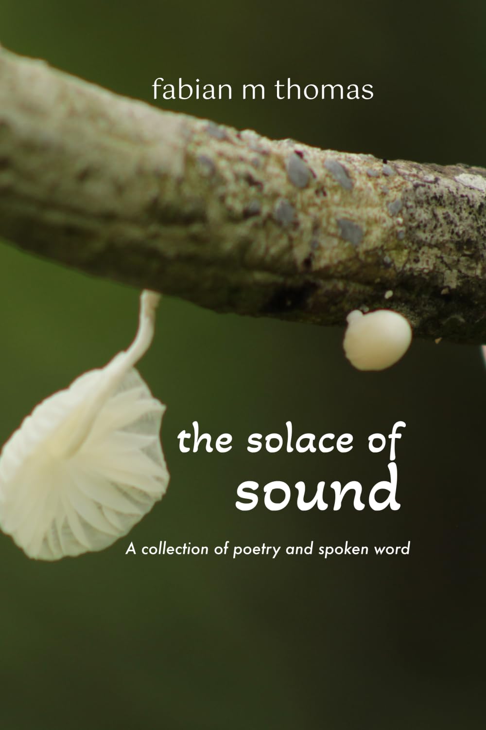 the solace of sound: a collection of poetry and spoken word