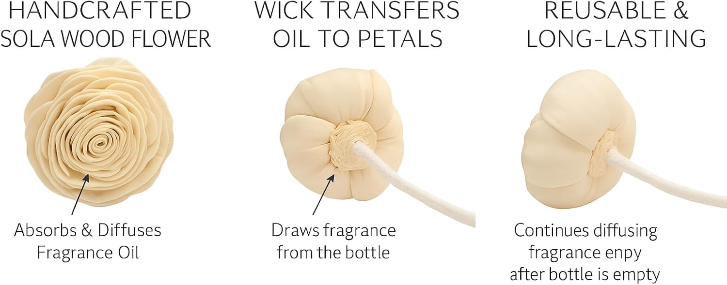 Aronica Mini Sola Flower Diffuser, 40 ml – Midnight Jasmine Scent • Natural Oils • Decorative Home & Gift Diffuser for Small Rooms, Bathroom & Office