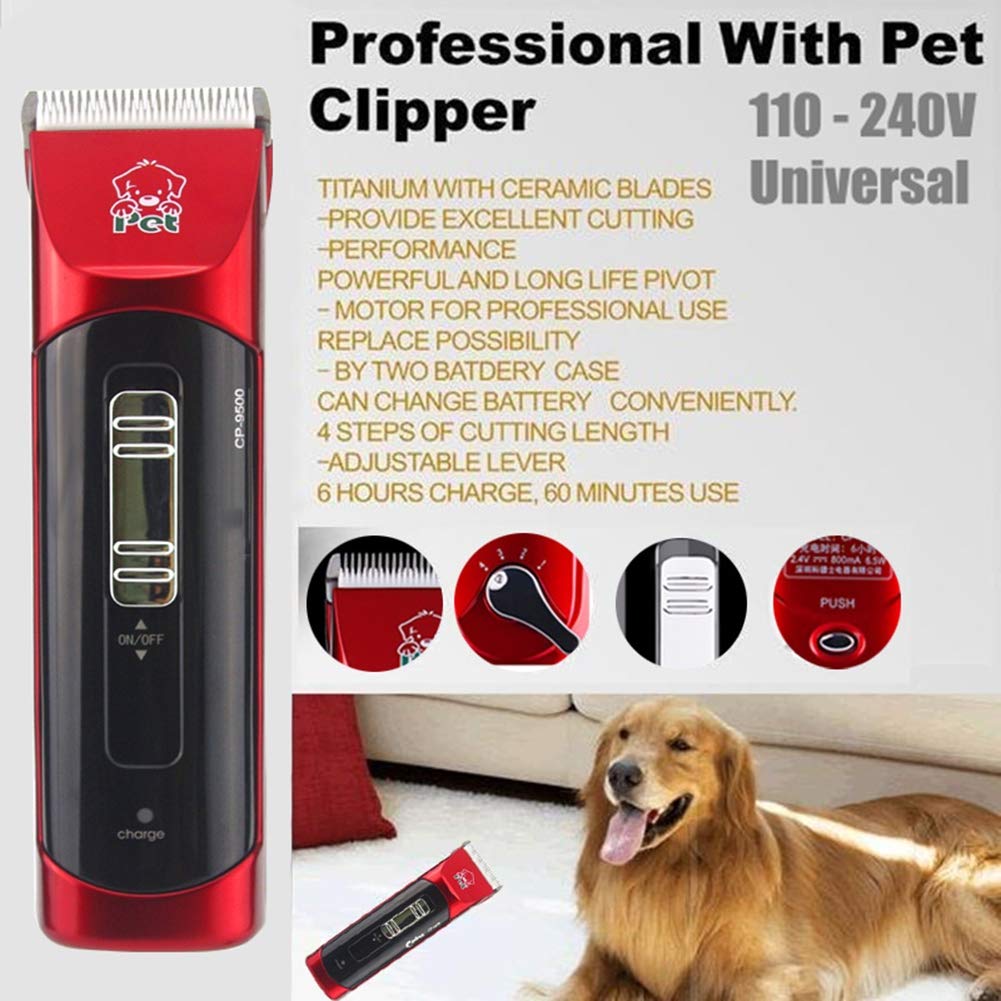 Tondeuses électriques de toilettage pour Animaux, Trousse de toilettage pour Chien Professionnelle, Tondeuse Rechargeable sans Fil et à Faible Bruit pour Chien, 4 Vitesses