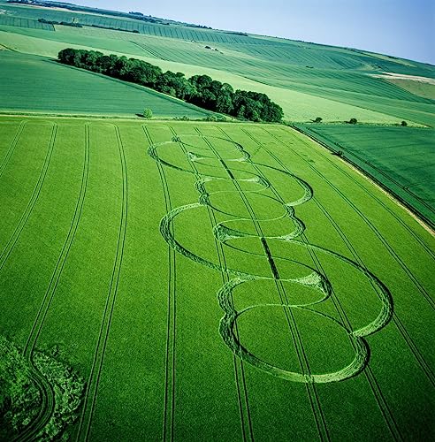 Tableau Crop Circle dans un champ d'orge Ferdinand Georg Waldmuller art mural chambre