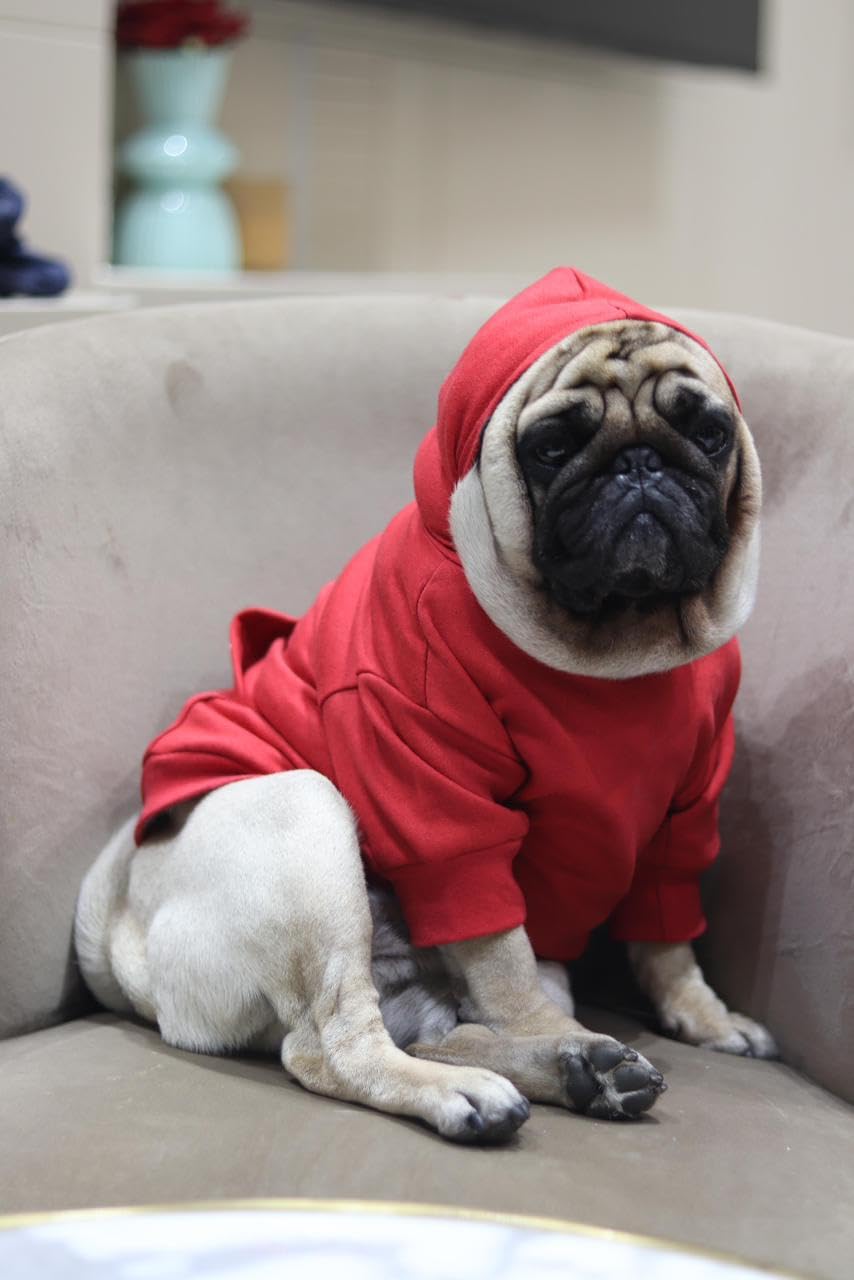 See full amazon price history chart for Super Soft Hoodies for Pet - Ultra Comfort Dog Apparel for Your Fashionable Furie (M, Red) Super Soft Hoodies for Pet - Ultra Comfort Dog Apparel for Your Fashionable Furie (M, Red) (B0CQXQNGC5) Amazon Price History, Amazon Price Tracker