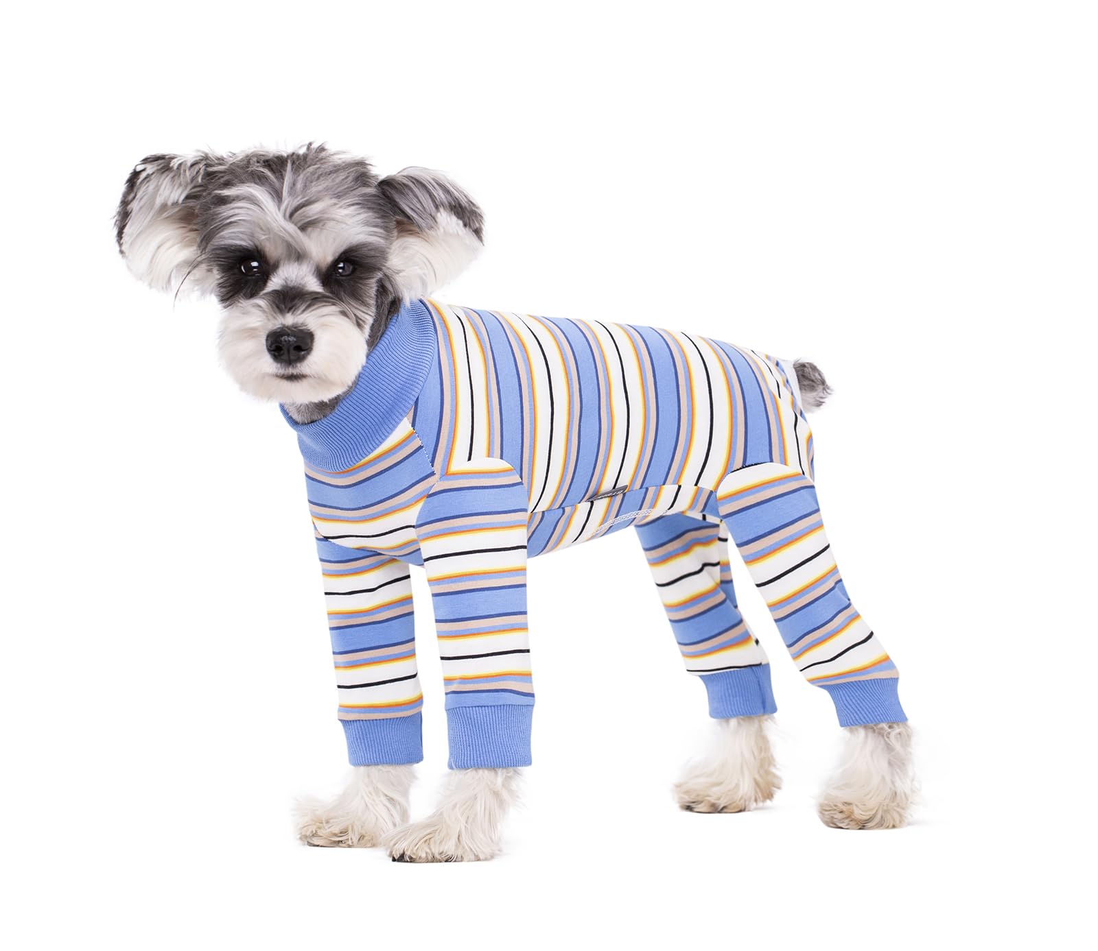 BT Bear Dog Recovery Suit,Elastic Puppy Small Dogs After Surgery Onesie Protect Joints Anti Licking for Female Male Dogs,Pets Pajamas PJS Bodysuit for Cats Small Medium Dogs,Blue XXL