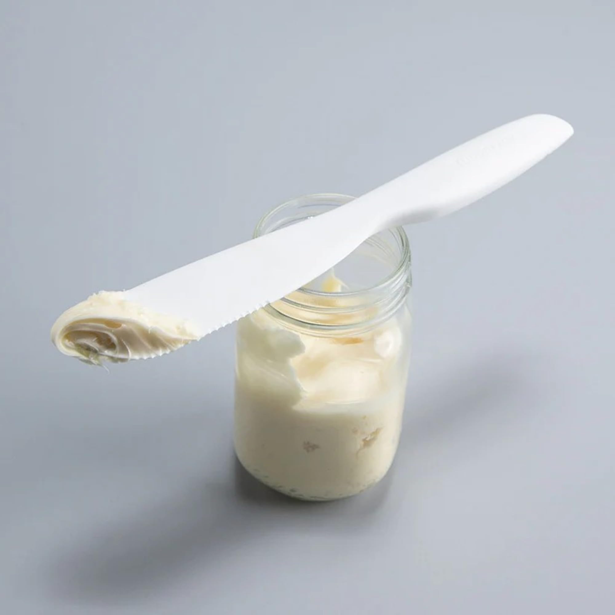Amazon.com: Tupperware Sandwich Spreader Gadget White: Home & Kitchen