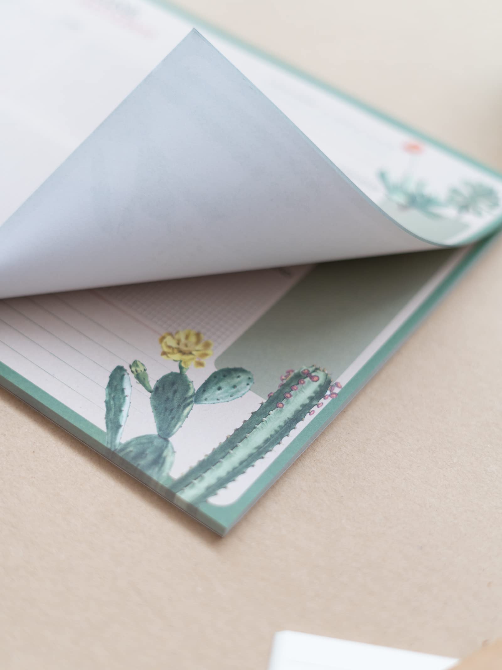 Grupo Erik Portuguese Version Botanical Cacti A4 Desk Pad with Daily, Weekly and Monthly Calendar | Desktop Planner | Desktop Note Pad | 54 Undated Tear Off Sheets | 8.3 x 11.7 inches | to Do List - Image 4