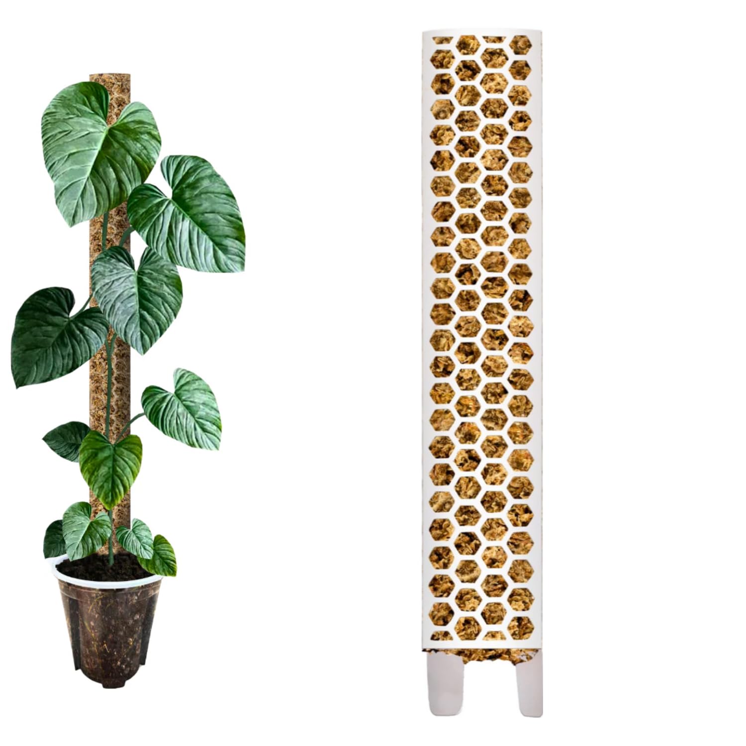 Moosstab 53 cm (XL) 10 Stück, Weiß – Moss Pole, erweiterbare Rankhilfe für Monstera & Kletterpflanzen, Pflanzenstab für Indoor Pflanzen