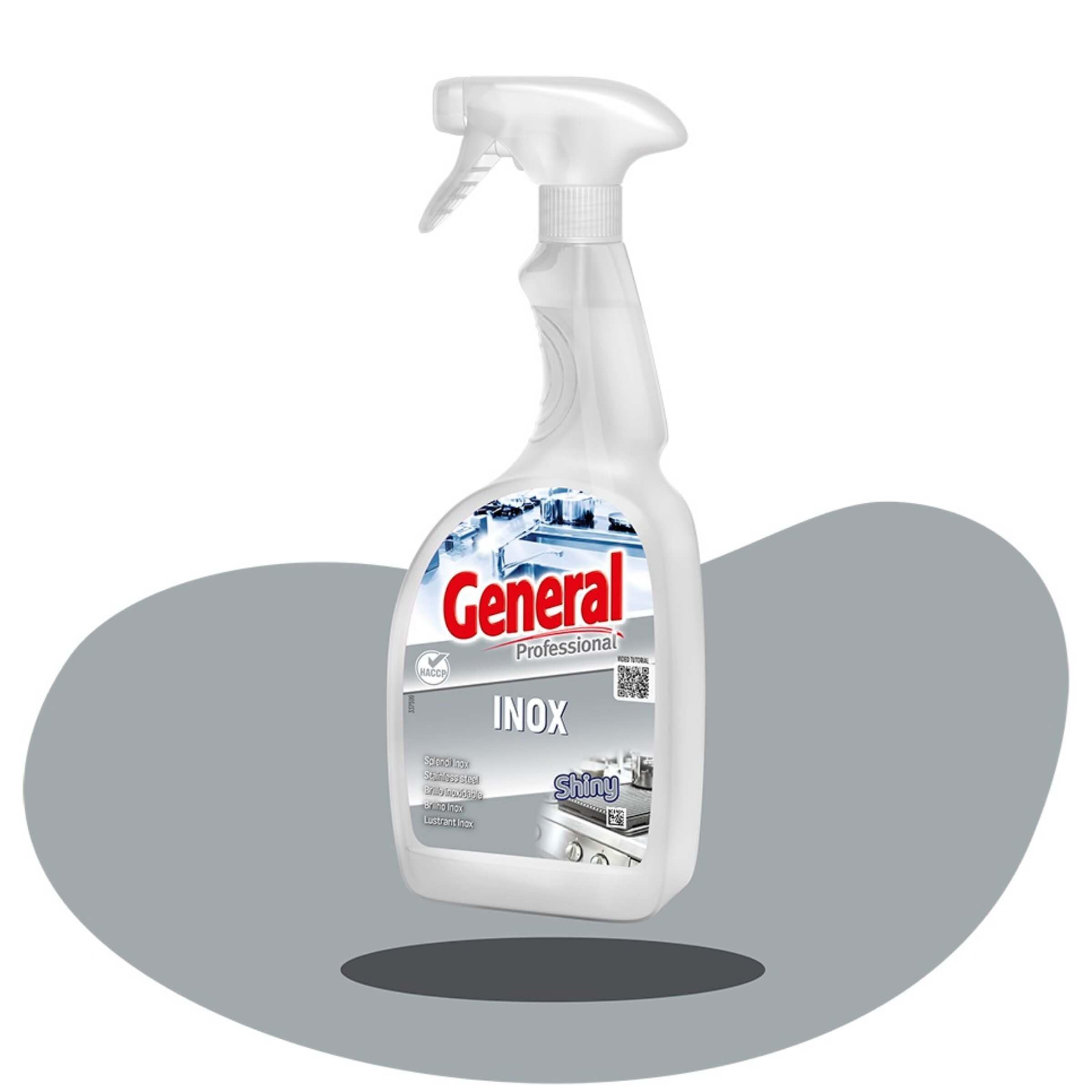 Inox Pulitore Rapido e Lucidante 750 ml - Effetto Brillante senza Aloni - Ideale per Acciaio, Ghisa e Ottone - Uso Professionale HACCP - Flacone Spray