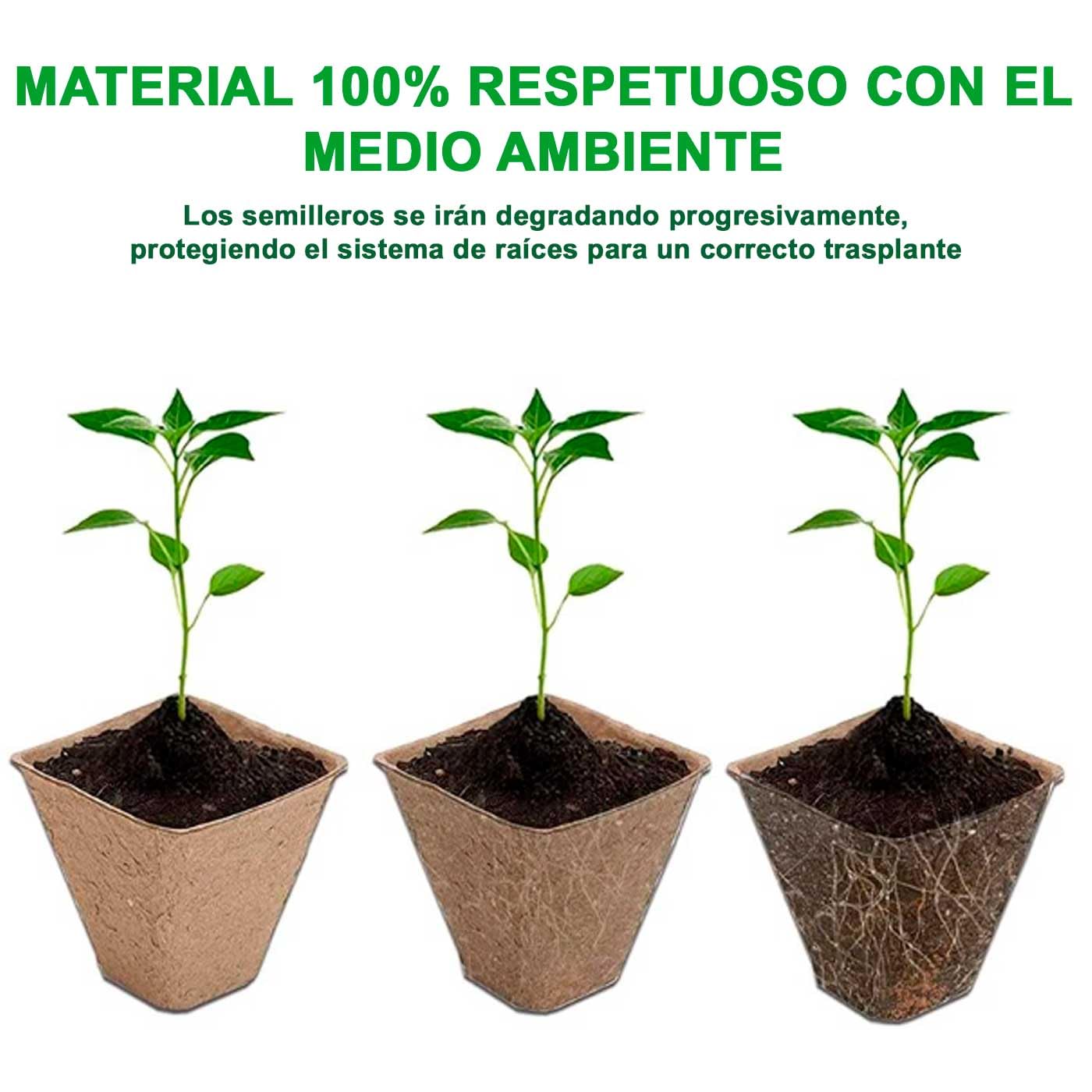 Acan Tradineur - Pack de 72 bandejas de semilleros biodegradables para 6 Plantas, germinación, Papel, Crecimiento, propagación, Cultivos - 12 x 8 x 5,2 cm