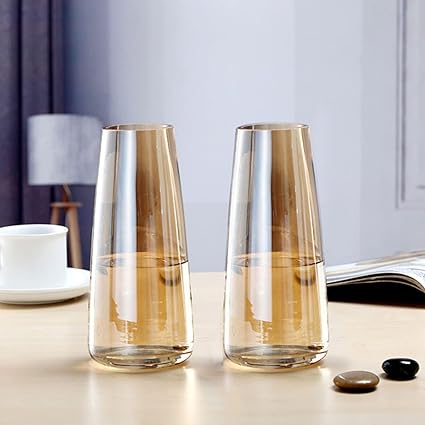 TIED RIBBONS Set of 2 Glass Vase for Flower Plants (22.8 cm x 7.6 cm, Gold) Decorative Items for Home Decor Living Room Dining Table Hall Bedroom Office Kitchen Gifting Decorations Items