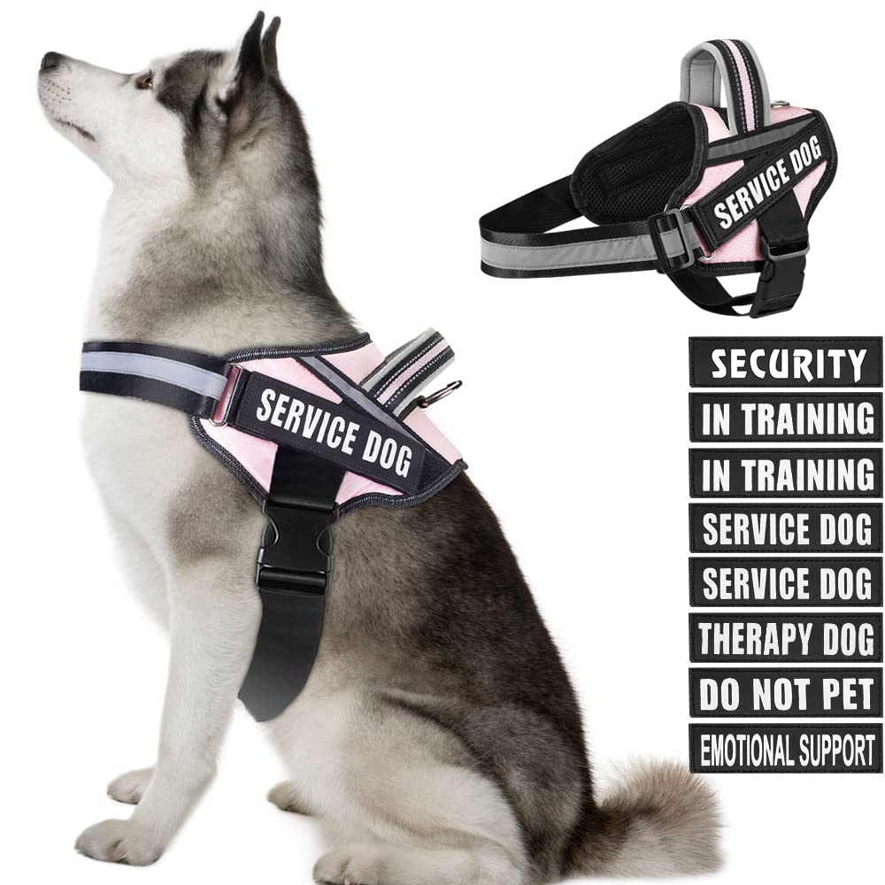 Dog Vest Harness and Patches Set, Animire in Training Service Dog Harness with 10 Dog Patches, Reflective Dog Vest with Handle for Small, Medium,