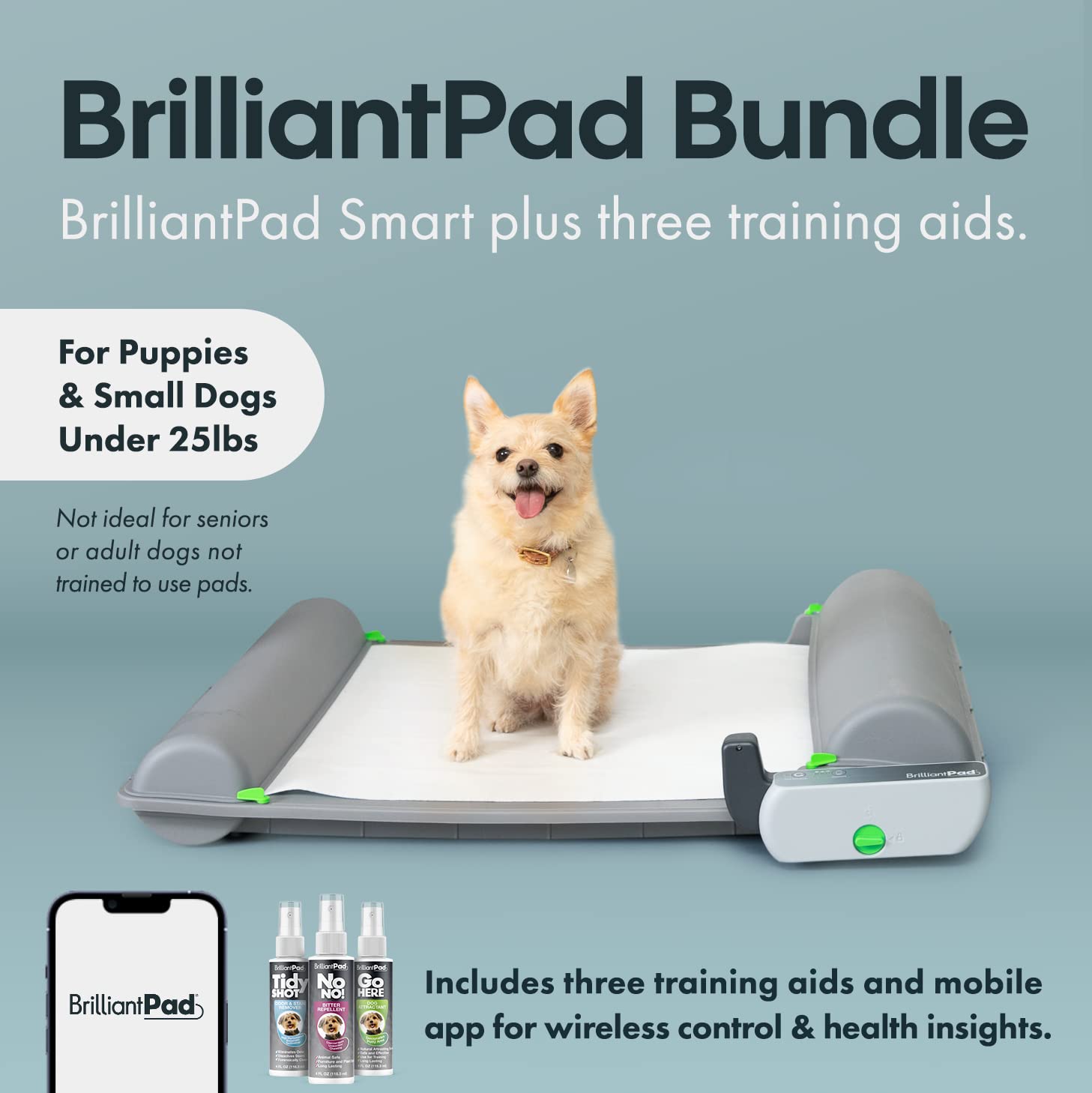 Amazon.co.jp: BrilliantPad スマート屋内犬用トイレ小型ペット用