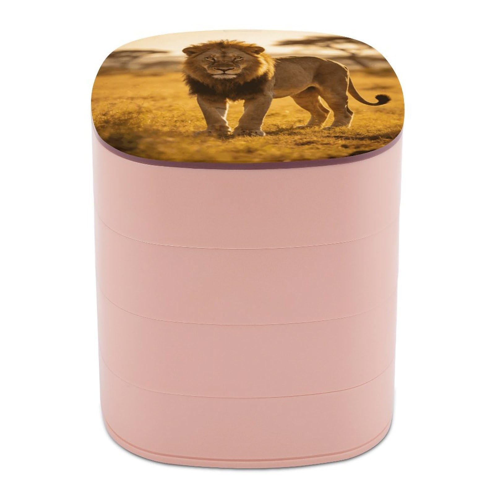 LZQPOEAS Wild Lion of The Wilderness Jewelry Box Women Jewelry Organizer Travel Jewelry Case Cute Necklace Ring Storage Organizer 4-Layer Rotating Jewelry Tray Case with Mirror for Bracelets