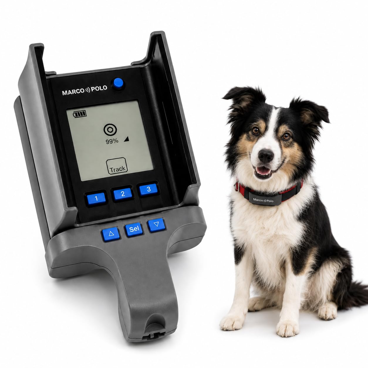 Marco Polo Advanced Pet Tracker