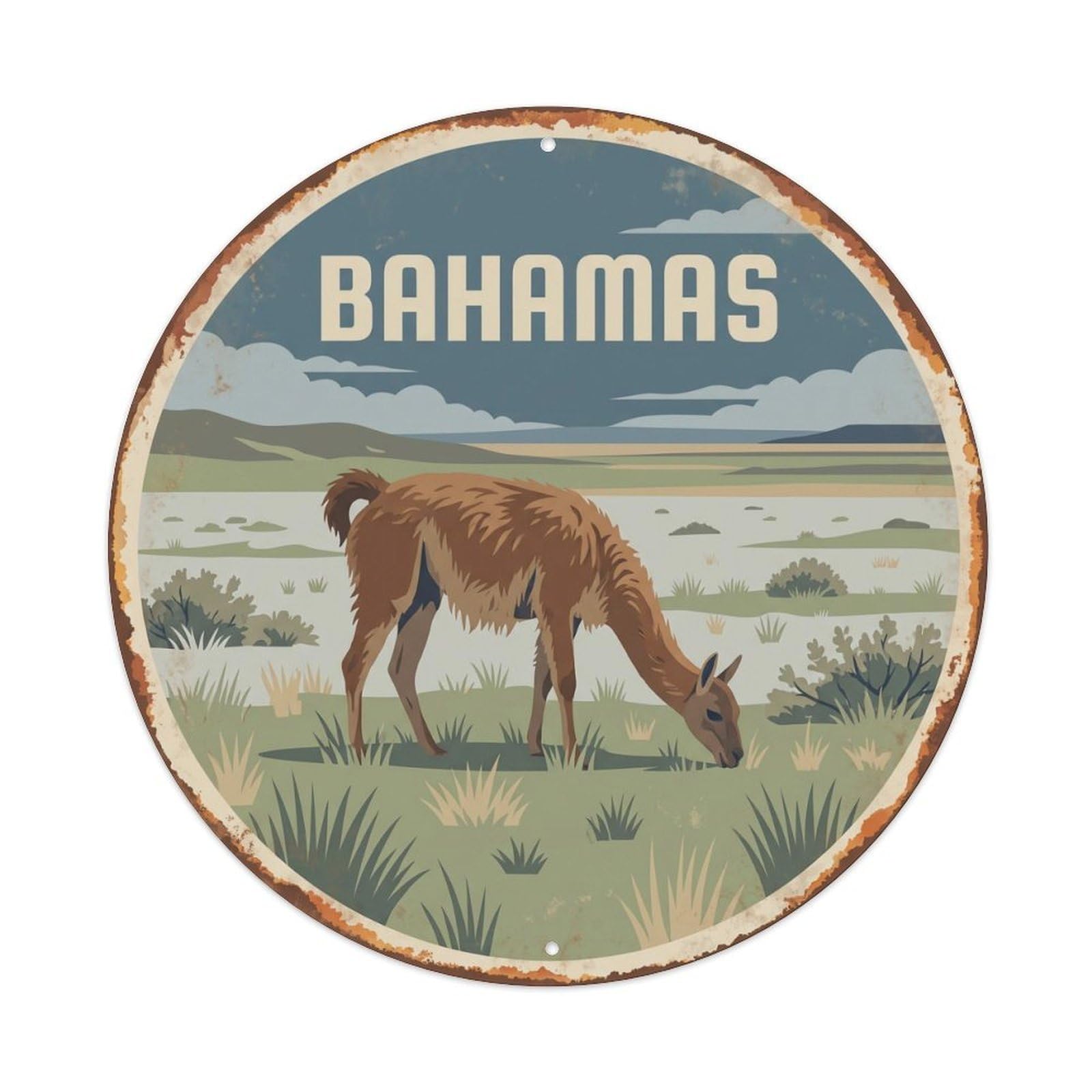 Bahamas Guanaco Grassland Plain Metal Tin Sign