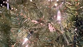 Review Image by Dan Dan