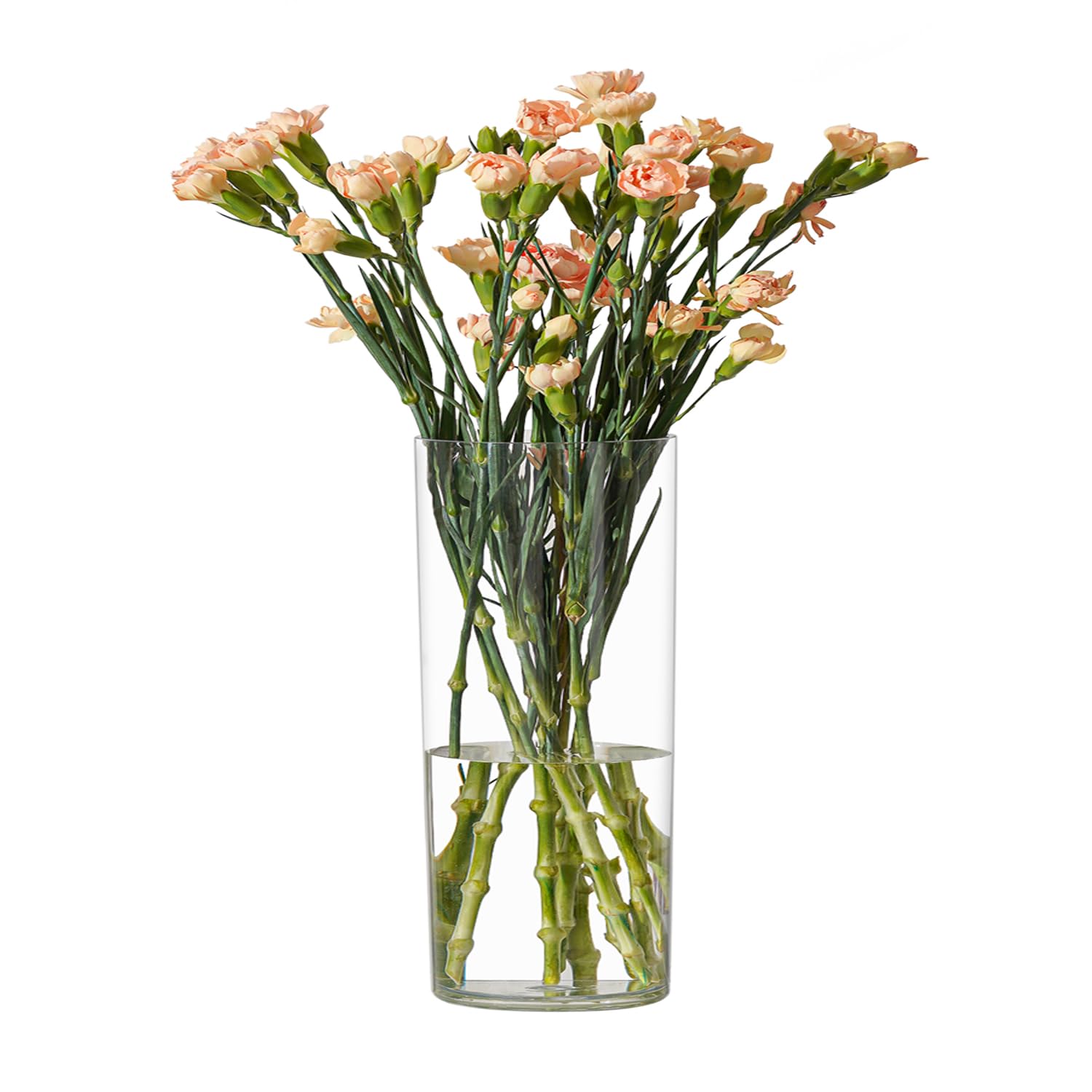 Photo 1 of RosPynn Flower Vase Acrylic Cylinder,7.86" Tall Clear Vase for Centerpieces,Wedding Decorative,Home Décor, Non Breakable Plastic, 3.94" x 7.86" Tall Round - Clear