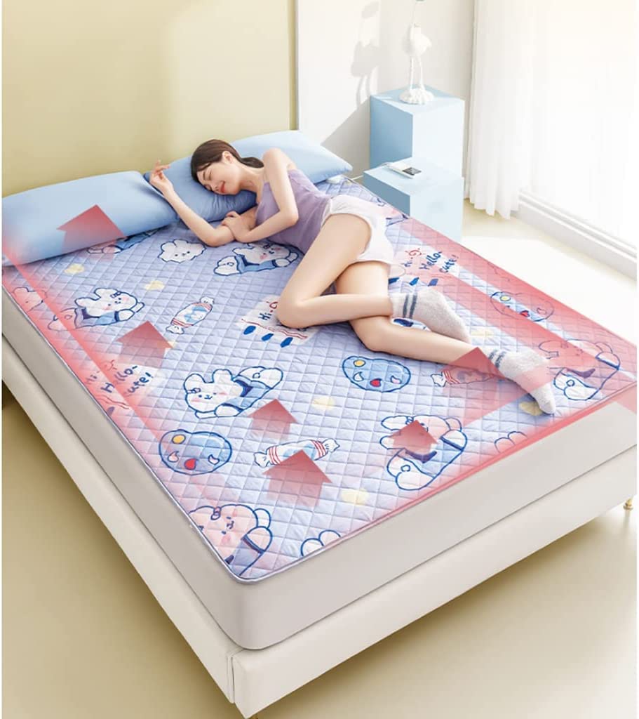 LIOONS Coperta Elettrica Coperta riscaldata King Size Coperta elettrica Doppio Controllo 4 impostazioni di Calore e 12 Ore di spegnimento Automatico Lavabile in Lavatrice Coperta Riscaldata