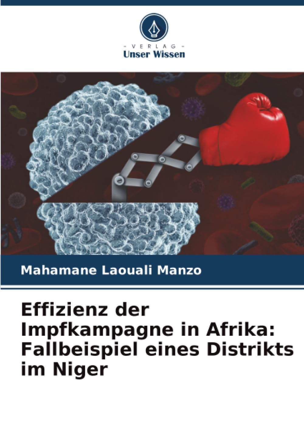 Effizienz der Impfkampagne in Afrika: Fallbeispiel eines Distrikts im Niger