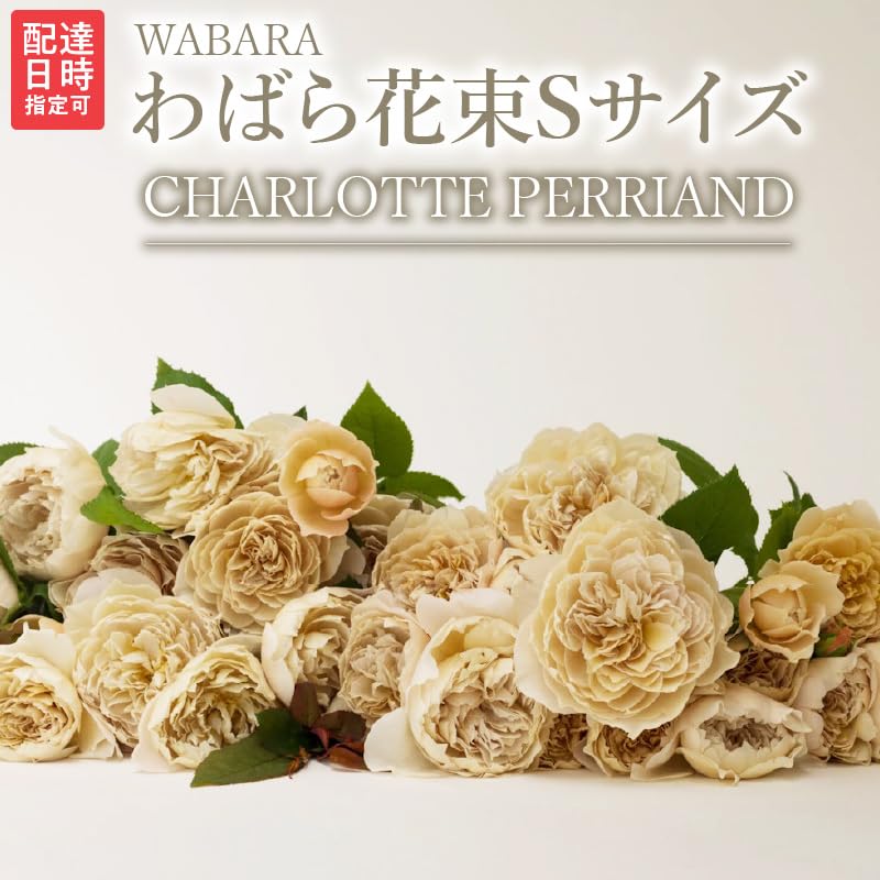 Amazon｜WABARA わばら花束 S-ROSE CHARLOTTE PERRIAND わばら15本程度