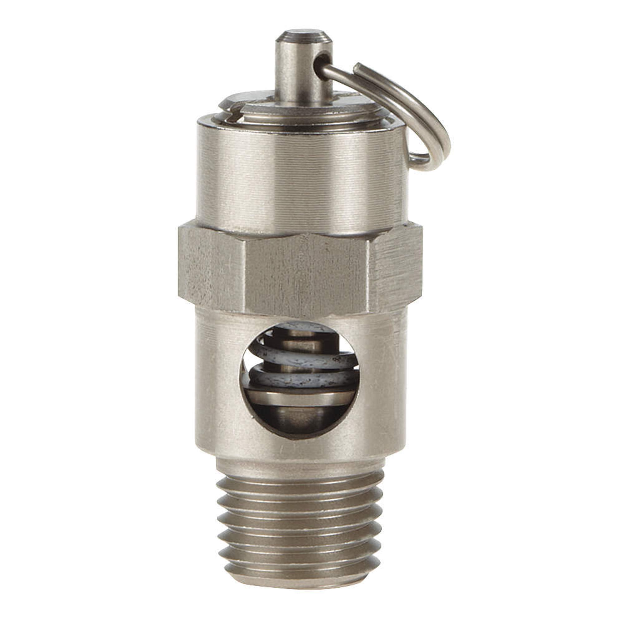 Safety Valve, Soft Seat, 1/4In, 100 PSI, SS