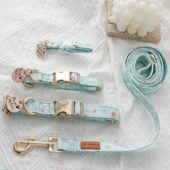 Amazon | Neskatu 犬 首輪 リードセット 小型犬 中型犬 大型犬